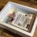 건강백세(100%) | 갓차누리 백세콩 : 고소하고 맛있는 콩물, 콩물 샤베트, 한끼순두부. Non-GMO 국내산 콩 100%