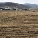 강프로공인중개사사무소 이미지