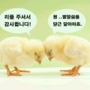 오병이어민초들보쌈 이미지