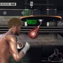 리얼복싱 이미지