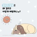 대현동물병원 이미지