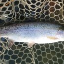 활주로낚시터 이미지