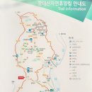 장태산 자연휴양림, 형제산 302.2m 대전시 서구 장안동 이미지