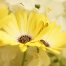 서울산업대학교 | 서울산업대학교 생명공학과 학사편입후기