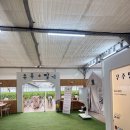 우주농장 | 강릉 아이랑 가볼만한 곳 추천｜우주딸기 딸기체험 솔직후기