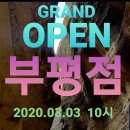 인셀덤부평