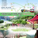 백두여행사 이미지