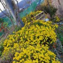 태산농장 이미지