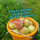 기북농장 이미지