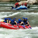 금강야채과일 이미지