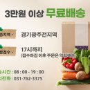 엘마트 광주점