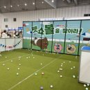 펫앤쇼핑 | 2025년 대전펫앤캣쇼 박람회 첫날 후기
