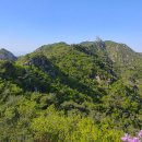 인헌동-19 이미지