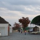 청통면-죽정리-6 | 글램핑 추천! 영천 스타 글램핑,오토캠핑장 솔직후기리뷰 XD 와촌스타글램핑/대구근교글램핑장 다같이...