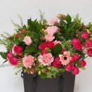 관악병설유치원 이미지