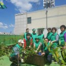 대명5동주민센터 이미지