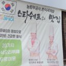 대포항코다리