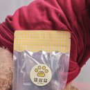 댕심당 | 바삭함에 반했개! 강아지 다이어트 간식 추천, 댕심당 수제 베지칩 말고기로 근육 챙기기