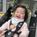 사운드짐 2호점 | 친언니가 선물해준 스토케 요요3타고 서울 도심 나들이로 찐 사용 후기