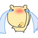 아모망