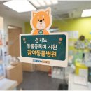 죽전 쿨펫동물병원 이미지