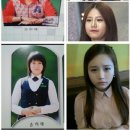 송하예 카카오 검색결과
