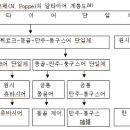 신라어가 부여어[古語]인데 고구려어/백제어가 부여어? 이미지