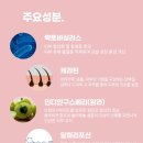 댕바이댕 이미지