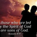 Bible Reading - Romans 8:11~19 이미지