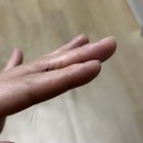 종로-종로-종로-종-320 | [12월 연말] 저도 이제 2025년 보내줄게요👋🏻