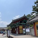 포항경주 야외 스냅 촬영 사진관 “라이크비트 스튜디오”ㅣ경주 대릉원 한복촬영 후기