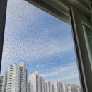 대현인테리어 | 울산 야음동 대현더샵 블랙 스텐 미세 방충망 시공 후기 – 인테리어의 완성은 결국 방충망입니다