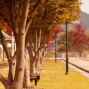 낙동강변 축구장 1 이미지