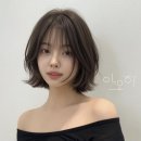 아오하 헤어 | 강남역 미용실 아눔헤어 단발펌 가격 태슬펌 태슬컷 내돈내산 솔직 후기