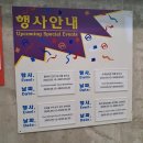 코스트코 부산 5월 셋째주 할인상품 | 기초화장품 캐리어 여행가방 여름용품 의류 속옷
