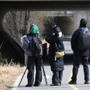 40년째 한강조사...새는 보이지 않았다
