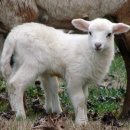 화한의원 이미지