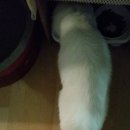 뉴트라코리아 이미지