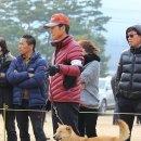 비상초등학교 이미지