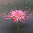 화곡3동 이미지