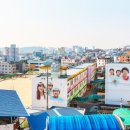 안동동부초등학교 이미지