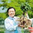 ㈜장생도라지 이미지