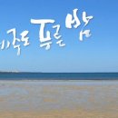 (영상) 유리상자 – 제주도 푸른 밤 이미지