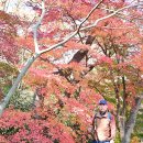 월출산(무위사,백운동별서정원,설록다원,경포대) 1. 이미지