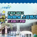 포레스트12 이미지