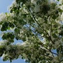 광양읍 유당공원 이미지