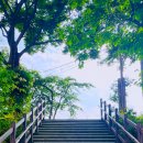 면목체육공원 이미지