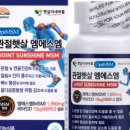 그레이스빌화학노동조합 | 40대 무릎 통증 햇살이네 마을 관절 영양제 재구입한 진짜 이유