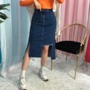 데이니크