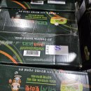 레드토마토